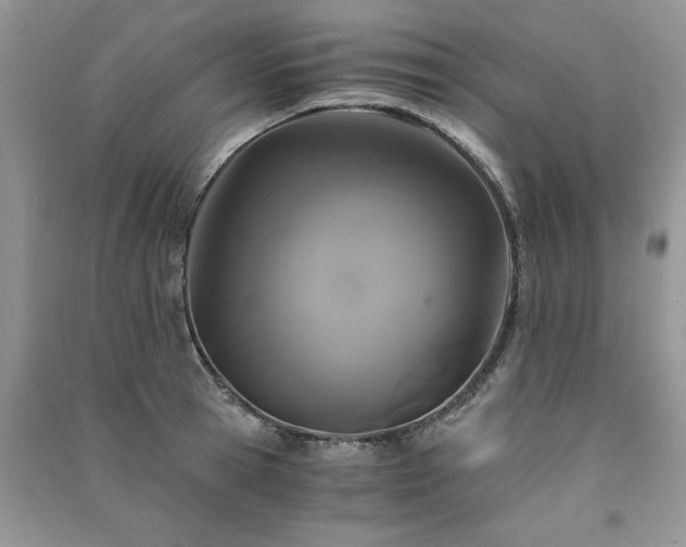 X0000091080945200708131253