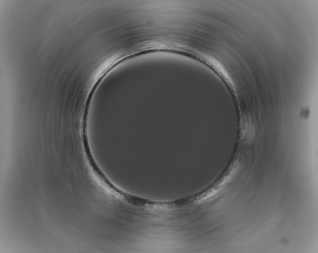 X0000091080946200708131253