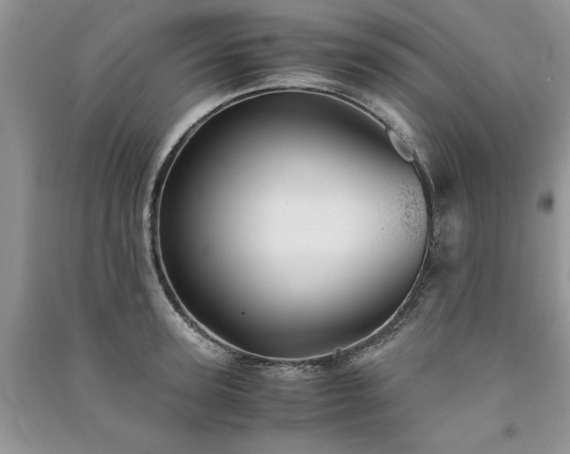 X0000091080947200708131253