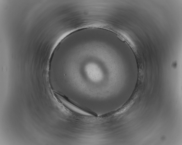 X0000091080948200708131253