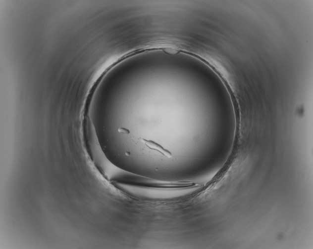 X0000091080949200708131253