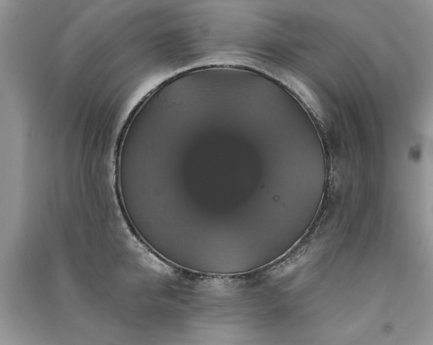 X0000091080950200708131253