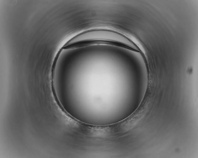 X0000091080951200708131253