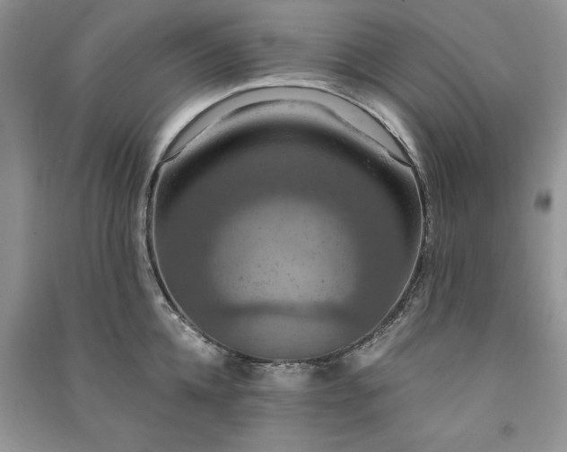 X0000091080952200708131253