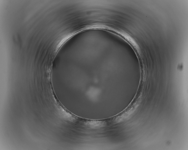 X0000091080953200708131253