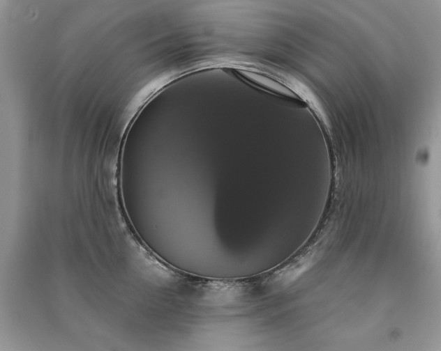 X0000091080954200708131253