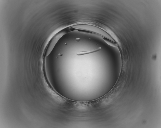 X0000091080955200708131253