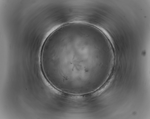 X0000091080957200708131253