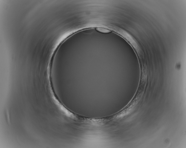 X0000091080958200708131253