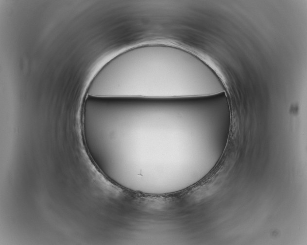 X0000091080959200708131253