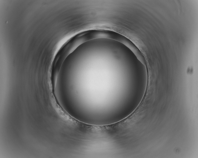 X0000091080960200708131253