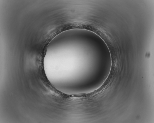 X0000091080964200708131252