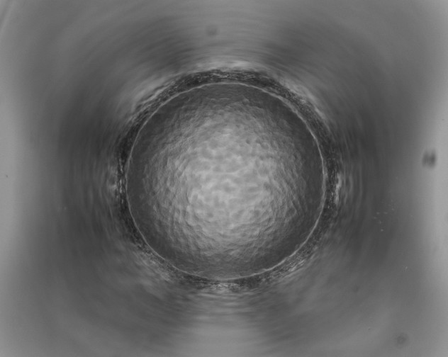 X0000091080966200708131252