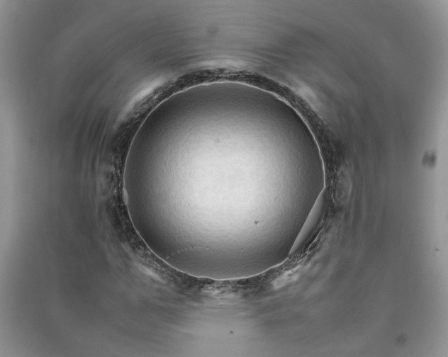 X0000091080967200708131252