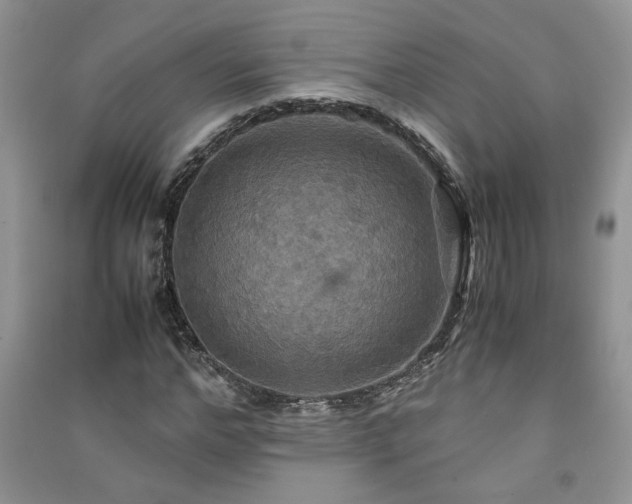 X0000091080968200708131252