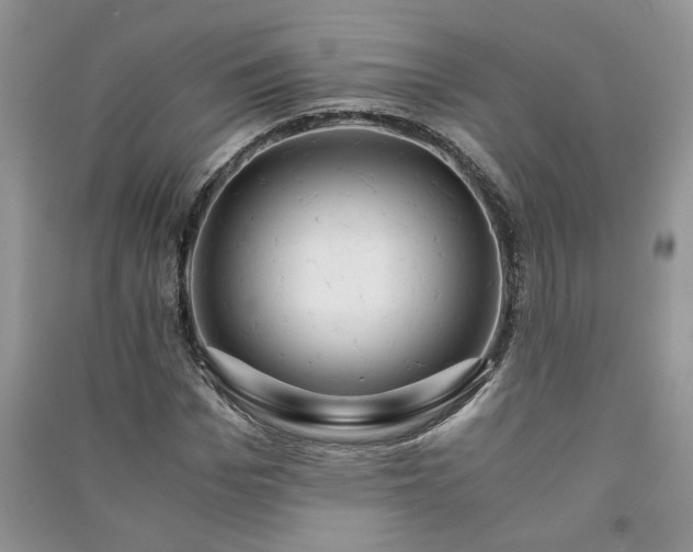 X0000091080969200708131252