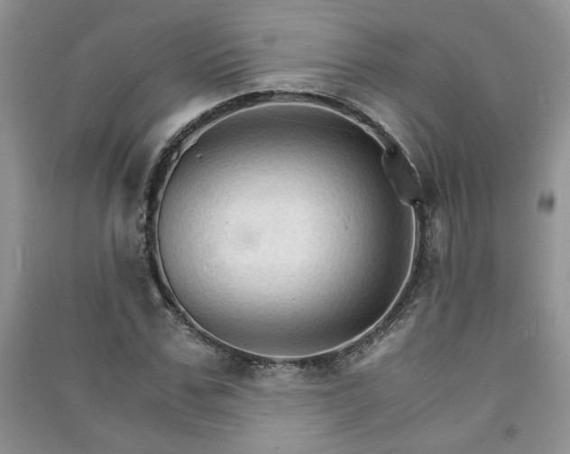 X0000091080971200708131252