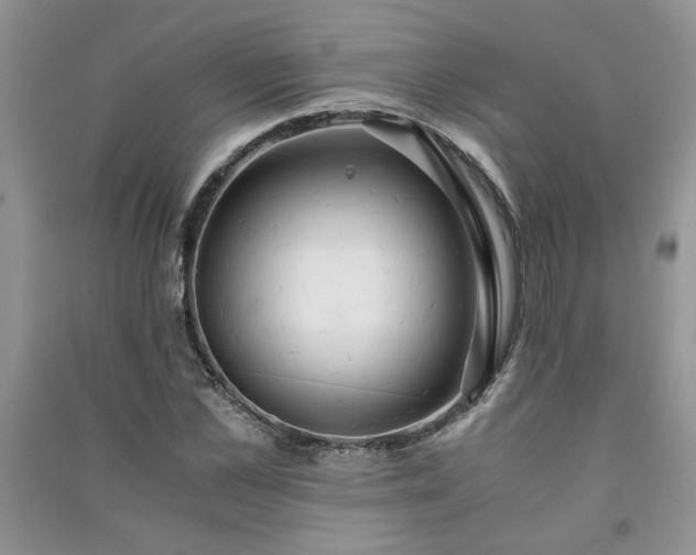 X0000091080973200708131252