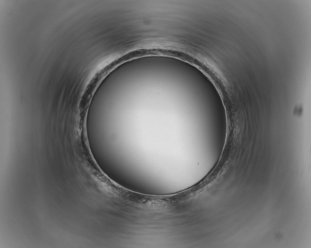 X0000091080974200708131252