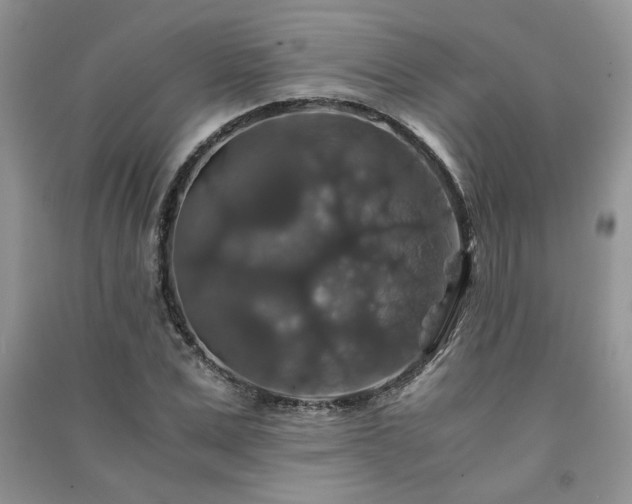 X0000091080975200708131252