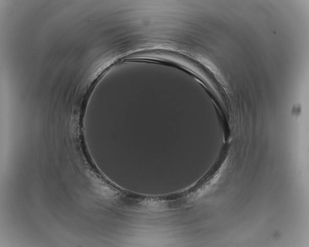 X0000091080977200708131252