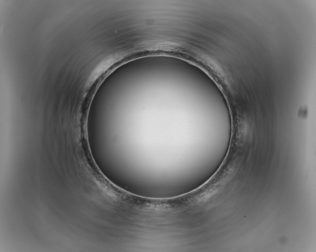 X0000091080978200708131252