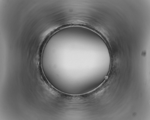 X0000091080979200708131252