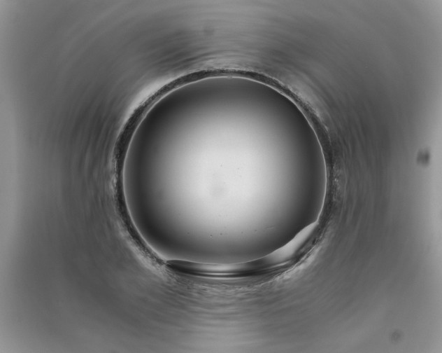 X0000091080981200708131252