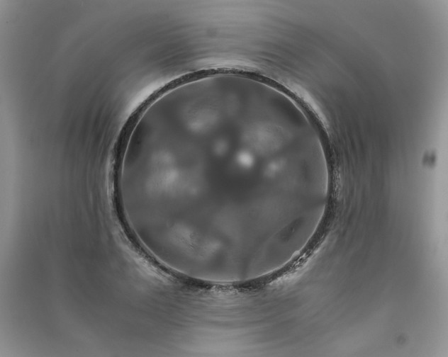 X0000091080983200708131252