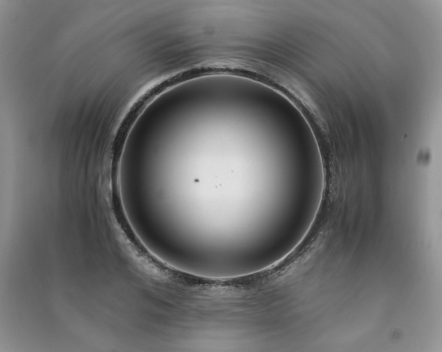 X0000091080984200708131252