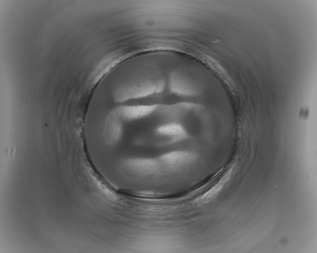 X0000091080985200708131252