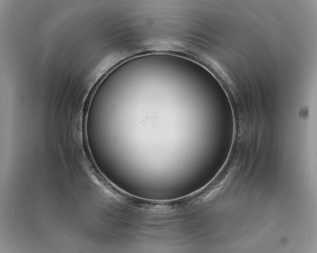 X0000091080986200708131252