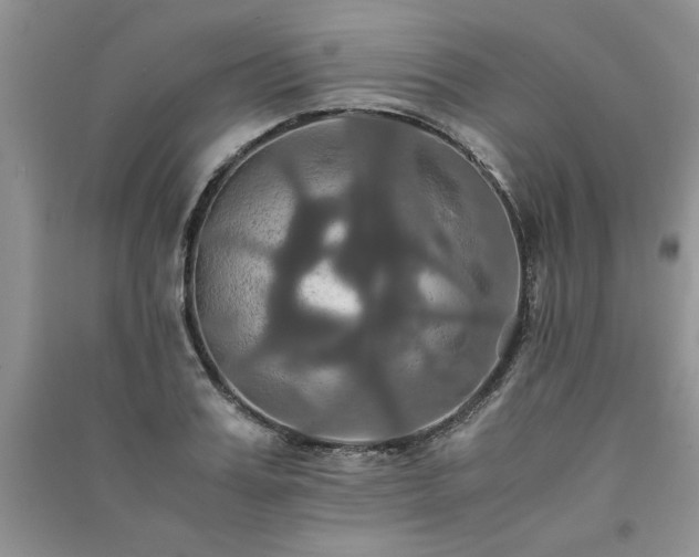 X0000091080987200708131252