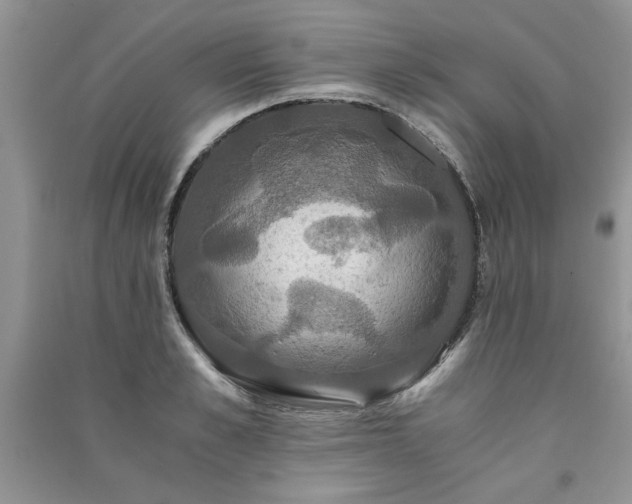 X0000091080989200708131252