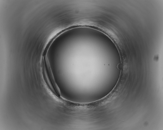 X0000091080990200708131252