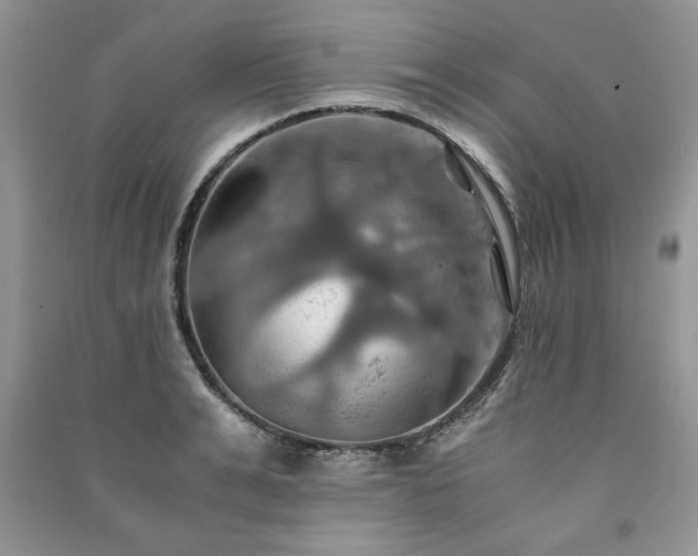 X0000091080991200708131252