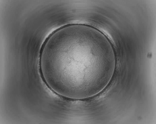 X0000091080992200708131252