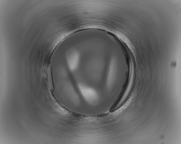 X0000091080993200708131252