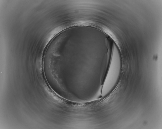 X0000091080994200708131252