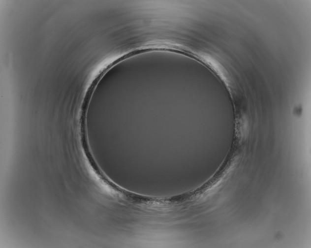 X0000091080995200708131252