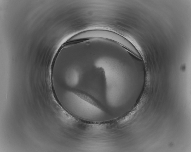 X0000091080996200708131252