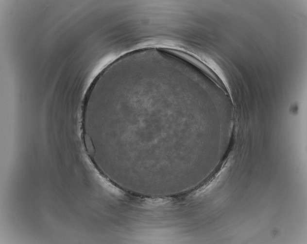 X0000091080997200708131252