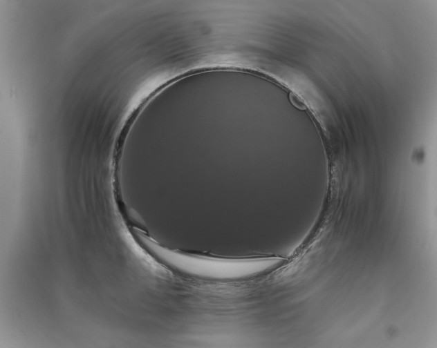 X0000091080998200708131252