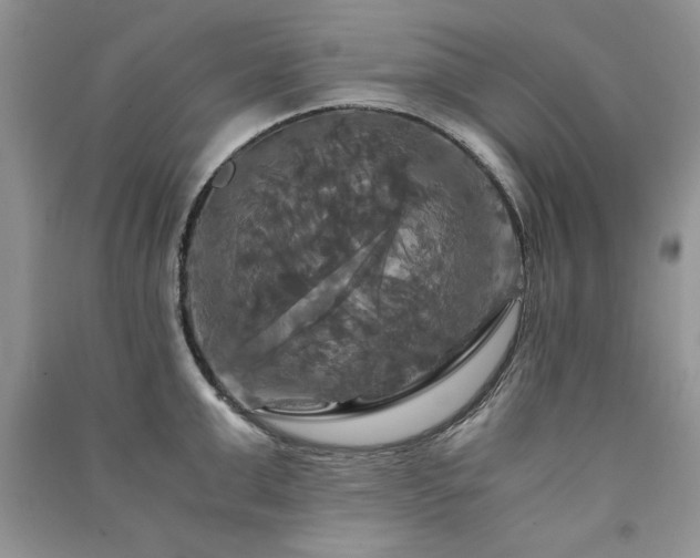 X0000091080999200708131252