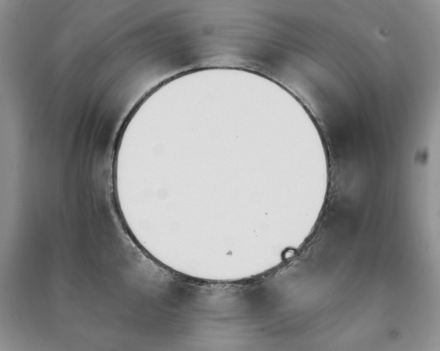 X0000091081000200708131252