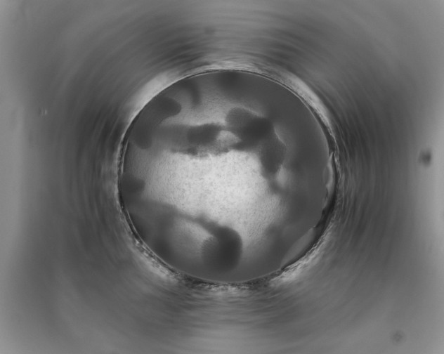 X0000091081002200708131252