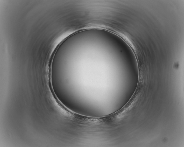 X0000091081003200708131251