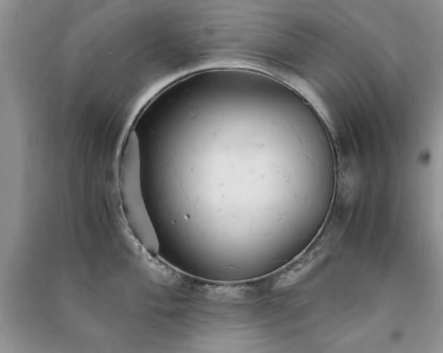 X0000091081004200708131251