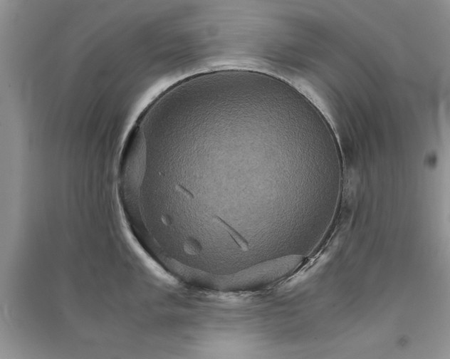 X0000091081005200708131251