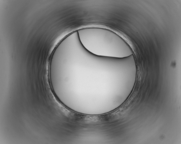 X0000091081006200708131251